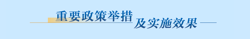 重要政策舉措及實(shí)施效果